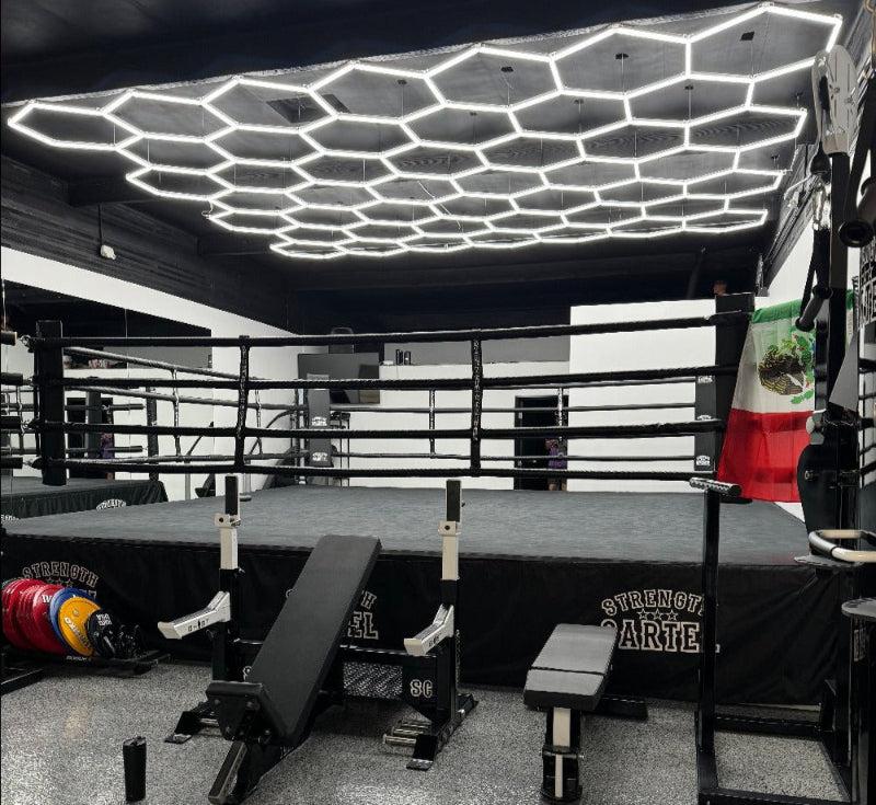 20 x 20 ft hexagon light grid over a boxing ring; low voltage 24V, 0-10V dimmable, remote control included